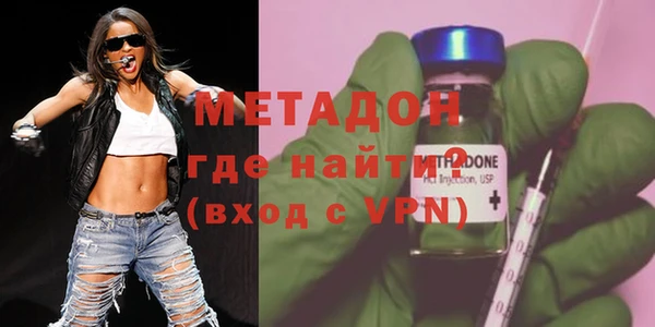 прущие грибы Богданович
