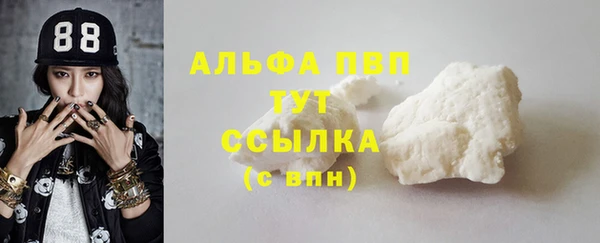 прущие грибы Богданович