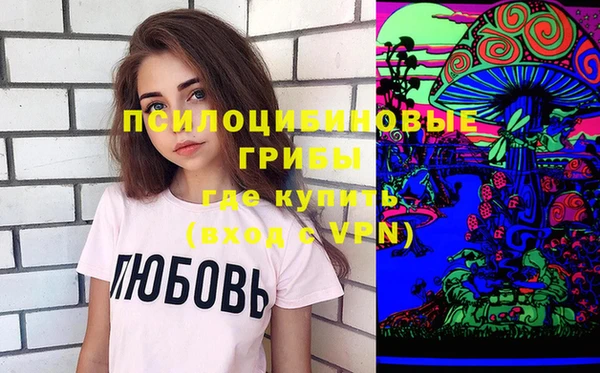 прущие грибы Богданович