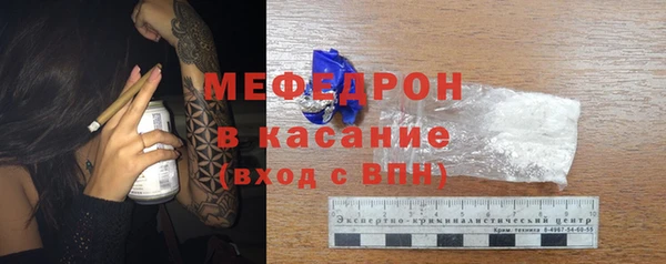 прущие грибы Богданович