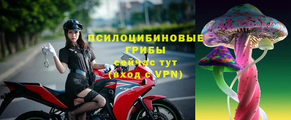 a pvp Богородицк