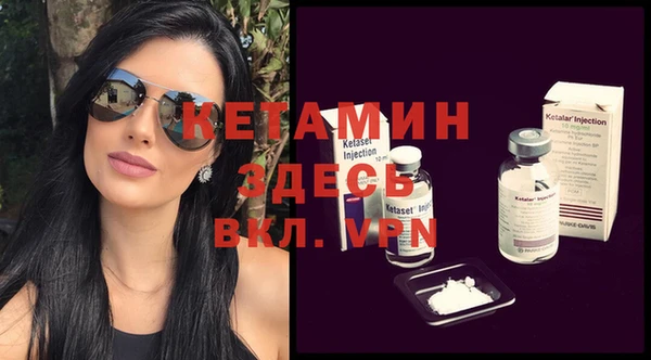 прущие грибы Богданович