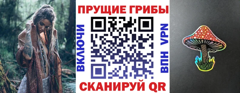 OMG ONION  Лихославль  Галлюциногенные грибы прущие грибы  наркошоп 